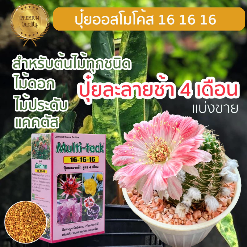 ปุ๋ยละลายช้า ออสโมโค้ท มัลติเทค ไม้ประดับ พืช บอนสี ผัก สูตร 16 16 16 เเบ่งขาย