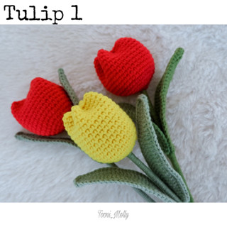 ดอกทิวลิปตูม (tulip 1)