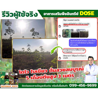 [ร้านค้าบริษัท] ฮอร์โมนเพิ่มน้ำยาง บำรุงใบและลำต้น โดสเขียวโปรแถม เร่งใบเร่งต้น เพิ่มนํ้ายาง ใบเขียว