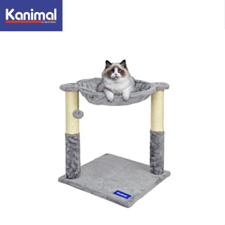 คอนโดแมว Kanimal Tree Bed ของเล่นแมว ที่นอนแมว พร้อมเสาลับเล็บ สำหรับแมวทุกวัย ขนาด 40x40x50 ซม.Cat Condo PetSupplies