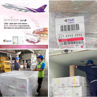 กลูต้าชิฮาดะ ล็อตใหม่ล่าสุด หมดอายุ2029สูตรพรีเมี่ยมผิวขาวใส x2 (ของแท้จากบริษัท 100%) แพ็คเกจใหม่ไม่ค้างสต๊อก