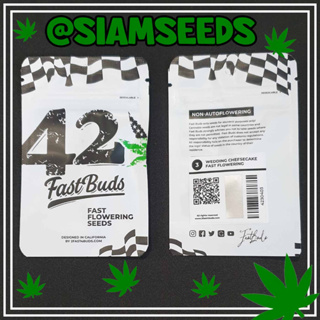 เมล็ดกัญชา Fastbuds Wedding Cheesecake Fastflowering Cannabis Seeds (Pack of 3)