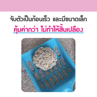 CatMe Kitten 10L. ทรายแมวอนามัย ทรายภูเขาไฟ สูตรอ่อนโยนพิเศษ สำหรับลูกแมว แมวผิวแพ้ง่าย บรรจุ 8 กิโลกรัม (10 ลิตร)