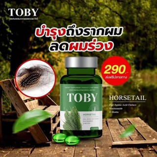 💚ของแท้ พร้อมส่ง💚Toby Horsetail วิตามินลดผมร่วง ผมบาง หัวล้าน อาหารเสริมบำรุงเส้นผม หญ้าหางม้า บำรุงรากผมให้แข็งแรง