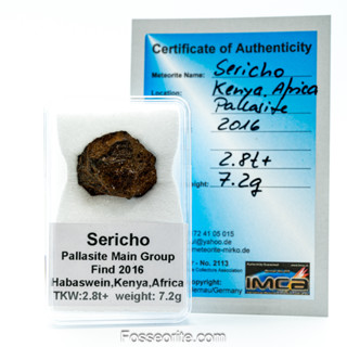 อุกกาบาต หินผสมเหล็ก SERICHO - Pallasite ชิ้นเล็ก พร้อมใบรับรอง จาก Germany #1 หนัก 7.2g