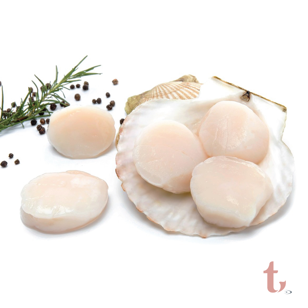 หอยเชลล์อเมริกาแช่แข็งเกรดซาชิมิ Frozen Premium US Scallops