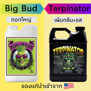 Big bud Terpinator ปุ๋ยทำดอก เพิ่มดอกใหญ่ เพิ่มไตรโครม เพิ่มรสชาติ ของแท้100%จากUSA