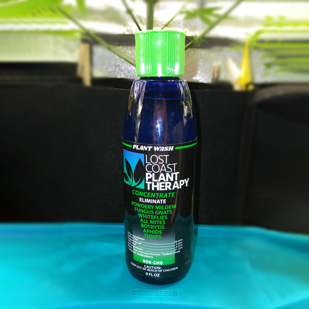 ขวดแท้ Lost Coast Plant Therapy ลอส โคส แพล้นท์ เธอระพี ขนาด 9 ออนซ์ ...