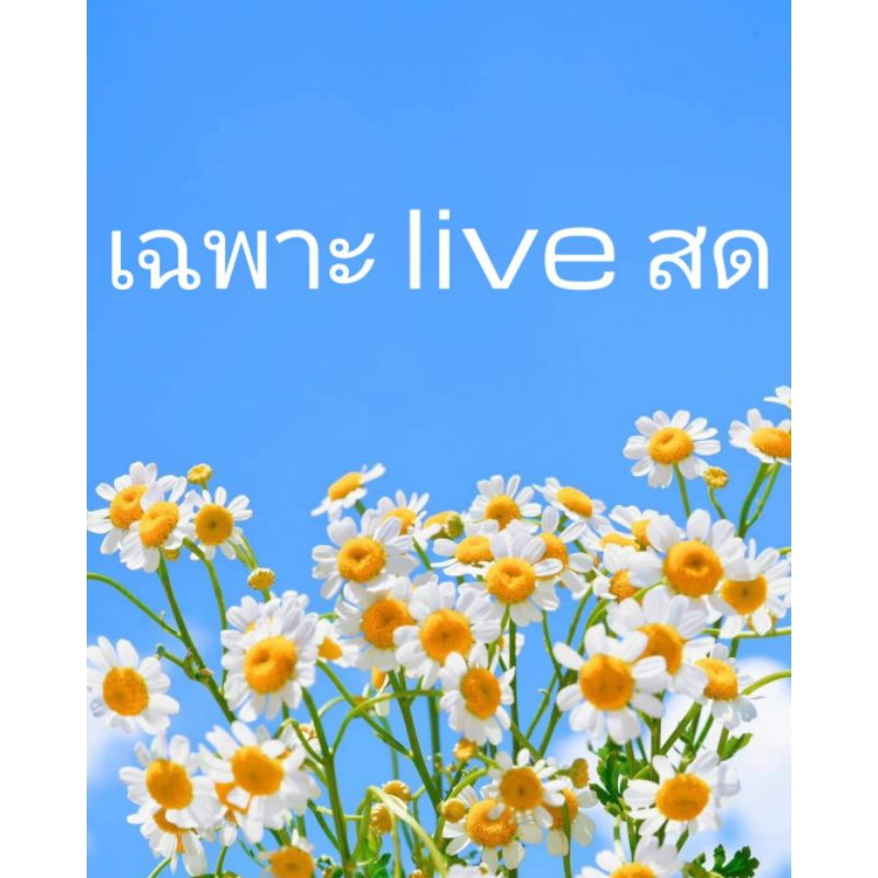 สินค้า มือ1มือ2 เฉพาะในlive สดค่ะ