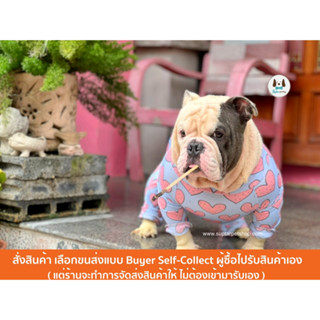 เสื้อหมา เสื้อสุนัข ชุดกันขนร่วง ชุดป้องกันขนร่วง ป้องกัน การเกา โรคผิวหนัง และ เห็บหมัดเมื่อออกไปด้านนอก ชุดกันขนร่วง