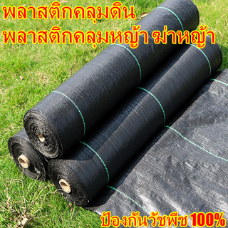 [ขนาด 1*200/2*100เมตร]พลาสติกคลุมดินป้องกันวัชพืช พลาสติกคลุมดิน ป้องกันวัชพืช ผ้าคลุมวัชพืช พลาสติกคลุมดิน