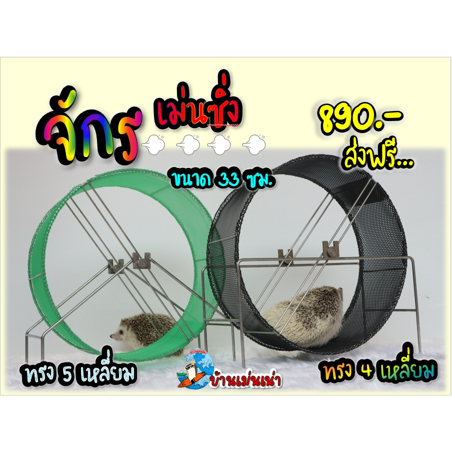 จักรสแตนเลส ขนาด 33cmใหญ่เบิ้ม (Handmade)ล้อวิ่งสัตว์เลี้ยงเม่นแคระ ชูการ์ผู้คิดและผลิตเจ้าแรกของไทย