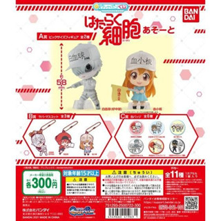 Gashapon Hataraku Saibou (Cells at Work!) เซลล์ขยัน พันธุ์เดือด