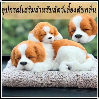 🐶ตุ๊กตาหมา 🐱ตุ๊กตาแมว 🐼ตุ๊กตาหมีแพนด้า ตุ๊กตา🦊จิ้งจอก ตุ๊กตาดูดกลิ่น น่ารักฝุดๆๆๆๆ