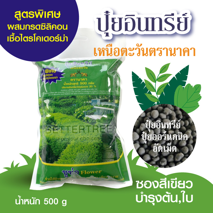 ชูช่อ ปุ๋ยอินทรีย์เหนือตะวัน ให้ใบสวยใหญ่ เงางาม  ปุ๋ยบำรุงใบ ปุ๋ยต้นไม้ fertilizer