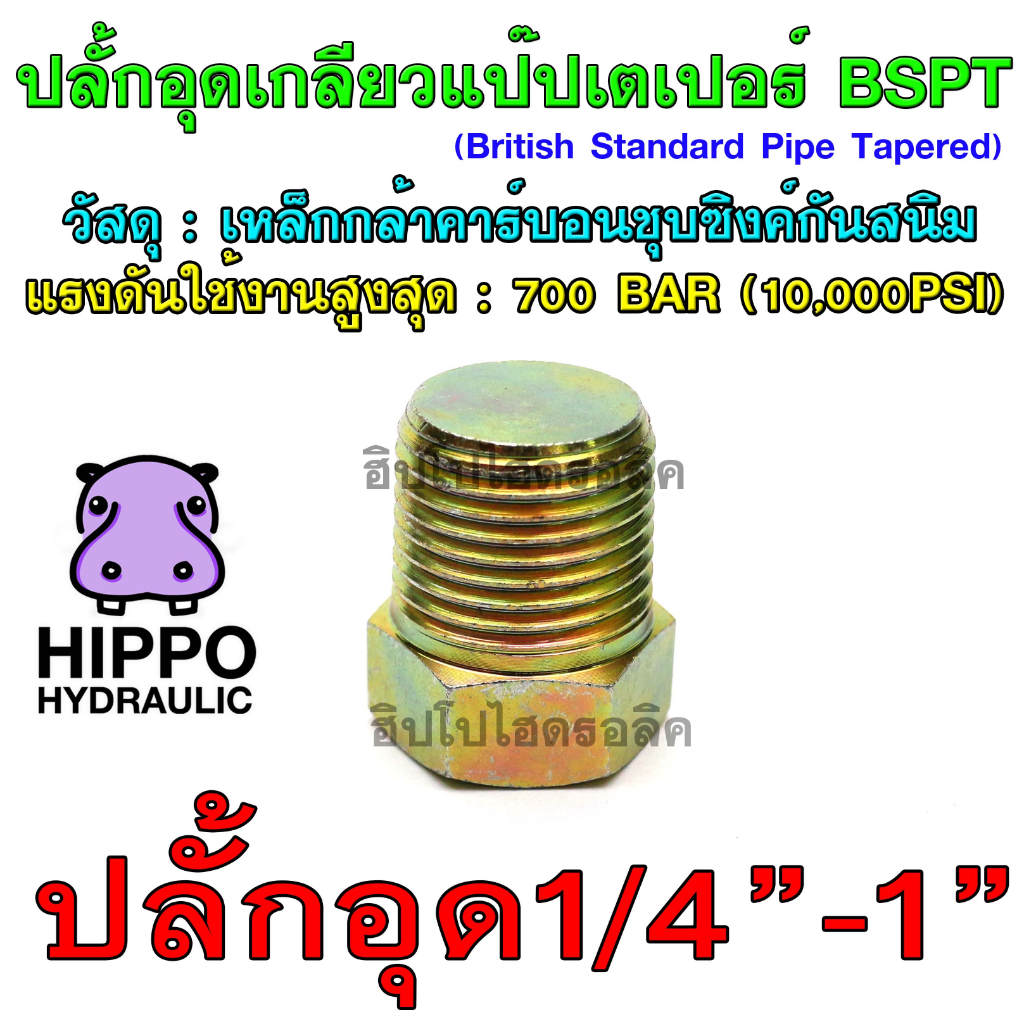ปลั้กอุด 04PM-16PM ,ปลั้กอุดPT ,ปลั้กอุดBMT - ปลั้กอุดไฮดรอลิค, ปลั้กอุดเกลียวแป๊ป BSPT