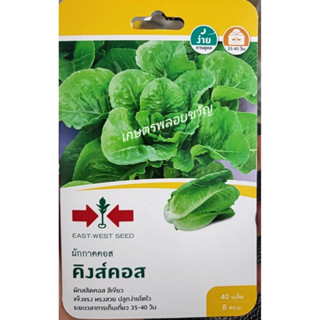 เมล็ดพันธุ์ ผักกาดคอส 🥬สิ้นอายุทำพันธุ์18/01/2567🥬คิงส์คอส✅บรรจุ40เมล็ด