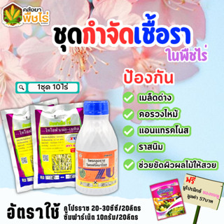 🌽 ชุดกำจัดเชื้อรา คูโปรราซ+ซิมฟาร์เน็ต 500ซีซี+100กรัม*2ซอง ป้องกันเมล็ดด่าง คอรวงใหม้ ราสนิม แถมฟรีนูโปรมิกซ์ ซองชมพู