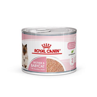 Royal Canin Mother &amp; Baby Cat 1 กระป๋อง (195 กรัม/กระป๋อง) อาหารเปียก อาหารแมว มูสนิ่ม สำหรับลูกแมวและแม่แมว