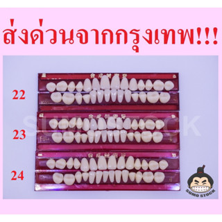 ฟันปลอม โมเดลฟัน ฟันอะคริลิค  สีมาตรฐานคนไทย สำหรับงานศิลปะ สำหรับปั้นหุ่นขี้ผึ้ง