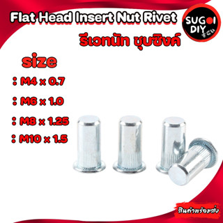 รีเวทนัท รีเวทปลายปิด ชุบซิงค์ M4 M6 M8 M10 จำนวน 20 ตัว ( Rivet Nut Closed End Steel Zinc Blue ) รีเวทตัน Sugoi diy