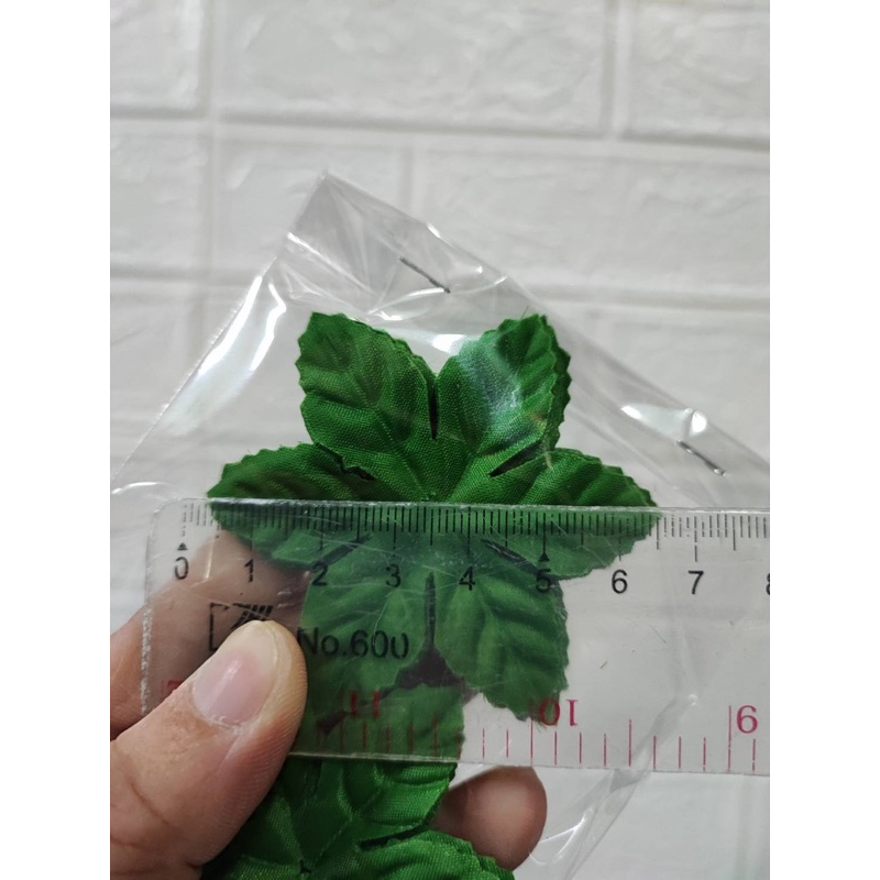 รูปภาพ 3