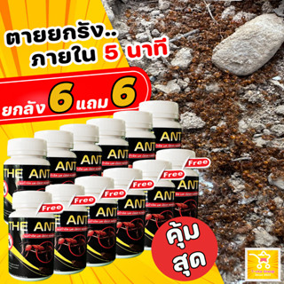 (ยกลัง คุ้มสุด) 6 แถม 6 ได้ 12 กระปุก The Ant ผงกำจัด มด ปลวก แมลงสาบ สูตรตายยกรัง ภายใน 5 นาที