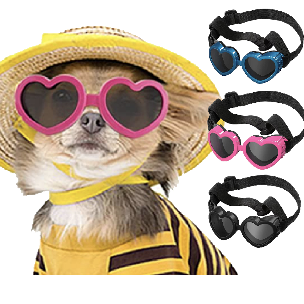 Eyewear 149 บาท แว่นกันแดดทรงหัวใจสำหรับสุนัขขนาดเล็ก ป้องกันดวงตาสัตว์เลี้ยงแสนน่ารัก ป้องกันรังสียูวี UV ,กันลม,กันฝุ่น พร๊อมหมา Pets