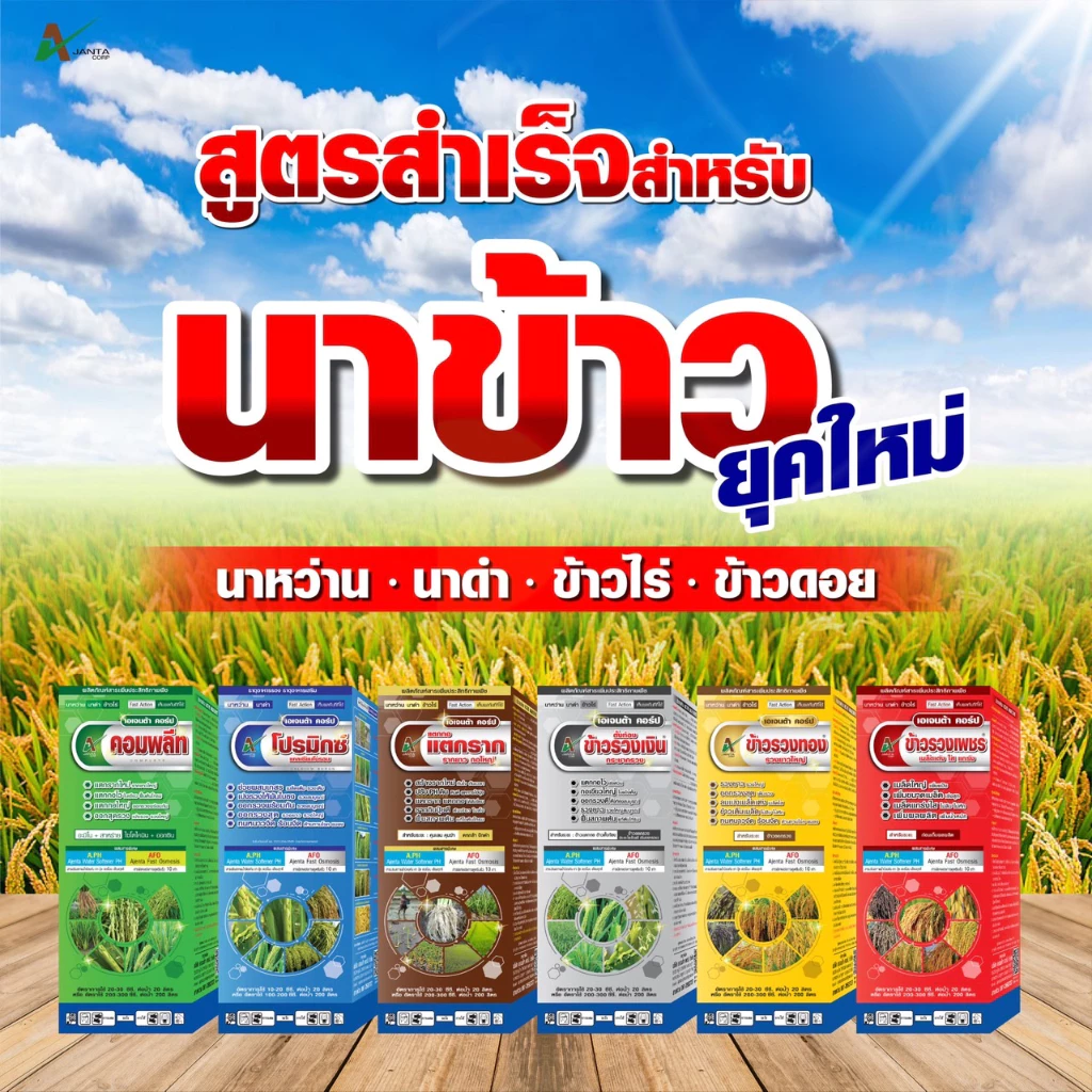 ชุดบำรุงนาข้าว ฮอร์โมนข้าว อะมิโนข้าว แตกกอ ตั้งท้อง รับรวง ลมเบ่ง เมล็ดเต่ง เอเจนต้า คอร์ป (แบบชุดคู่)
