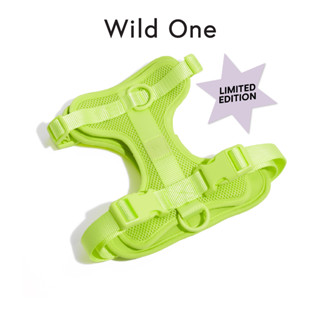 🍋 Limited Color! │ Wild One – Harness│ Limeade