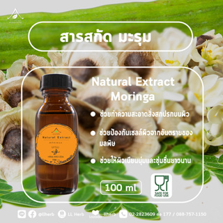 สารสกัด มะรุม moringa extract