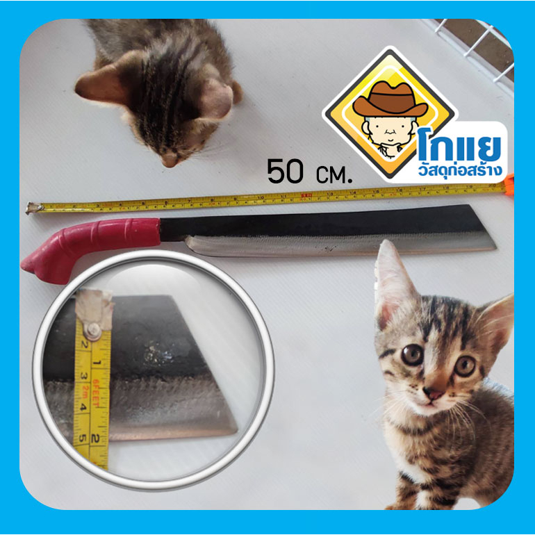 มีดพร้ามาเลเซีย_งามโดนใจ_คมโดนขาได้เลือดนะระวังด้วย