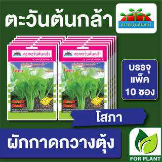 เมล็ดพันธุ์ ผักซอง ผักกาดกวางตุ้ง โสภา ตราตะวันต้นกล้า บรรจุแพคล่ะ 10 ซอง ราคา 64 บาท