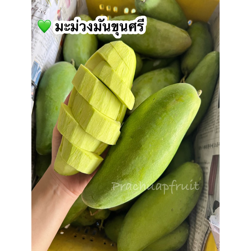 🥭มะม่วงมันขุนศรี ✅พร้อมส่ง✅ (1 กิโลกรัม) รสชาติ มันกรอบ เนื้อนิ่มฟู อร่อยมากกก