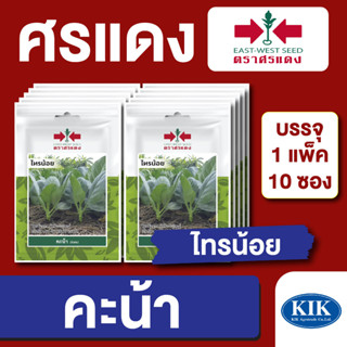 เมล็ดพันธุ์ ผักซอง คะน้ายอดไทรน้อย ตราศรแดง บรรจุแพ็คล่ะ 10 ซอง ราคา 70 บาท