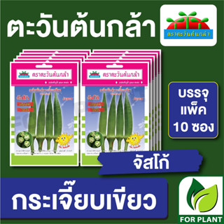 เมล็ดพันธุ์ ผักซอง กระเจี๊ยบเขียว จัสโก้  ตราตะวันต้นกล้า บรรจุแพคล่ะ 10 ซอง ราคา 64 บาท