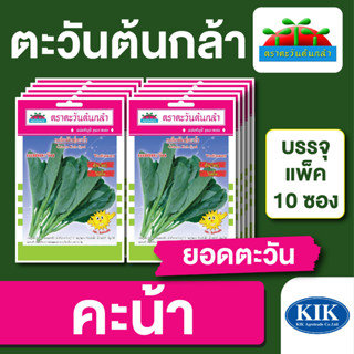 ผักซอง ตะวันต้นกล้า คะน้า ยอดตะวัน บรรจุแพคล่ะ 10 ซอง ราคา 64 บาท