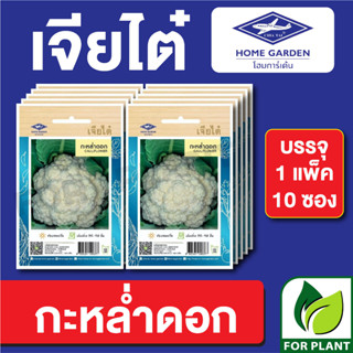 เมล็ดพันธุ์ ผักซอง กะหล่ำดอก ตราเจียไต๋ บรรจุแพ็คล่ะ 10 ซอง ราคา 70 บาท