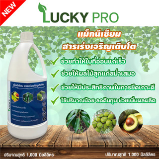 แมกนีเซียม(Mgo)สูตรเข้มข้นในรูปคีเลท(EDTA)ขนาด1,000cc LUCKY PRO สารเร่งโต เร่งเขียว ต้านทานโรค ยึดเกาะดี ธาตุอาหารรอง