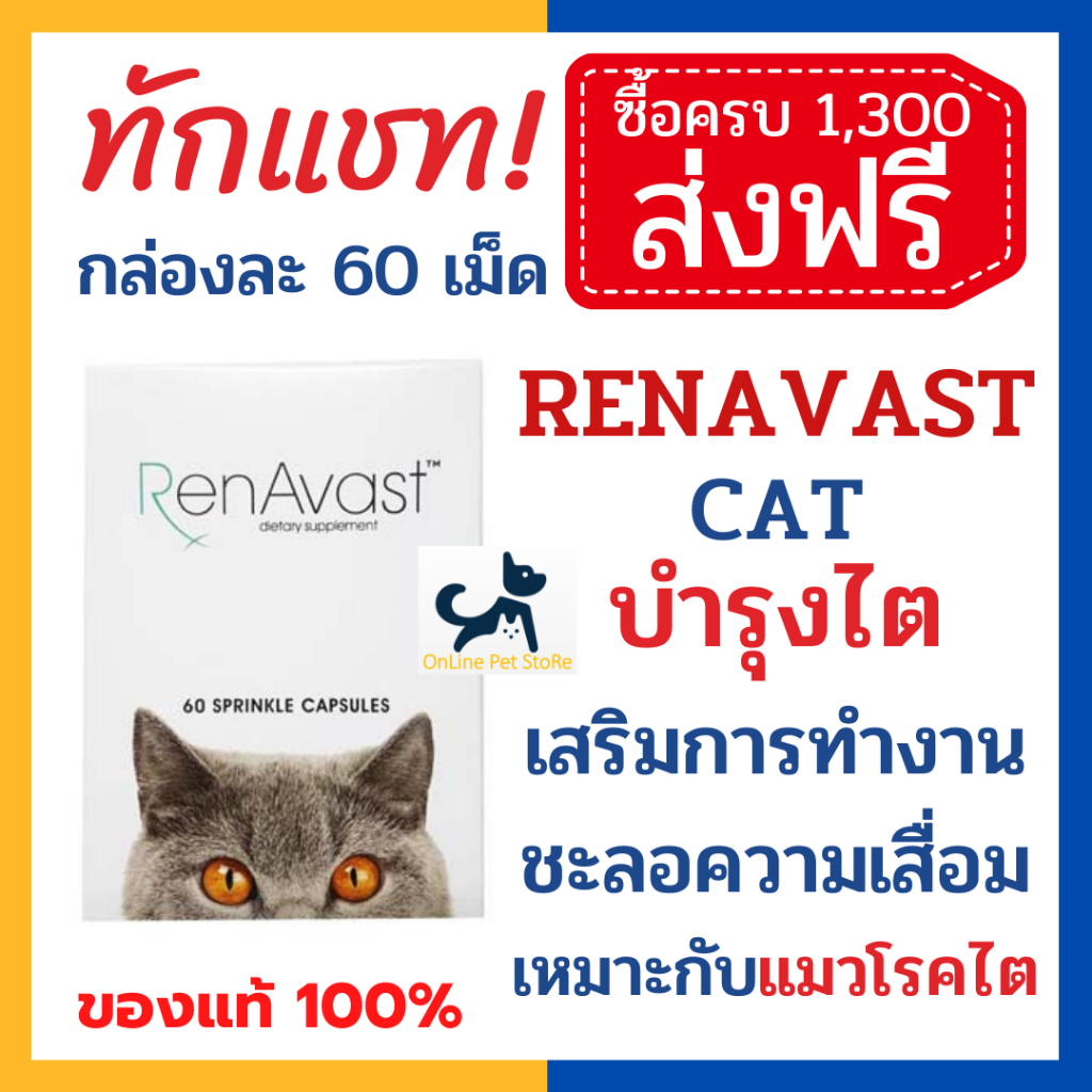 [60 เม็ด] หมด 4/26 +บำรุงไต+ RenAvast CAT สำหรับแมวโรคไต/สูงวัย อาหารเสริมบำรุงไต เสริมการทำงานและชะลอความเสื่อมของไต