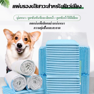 พร้อมส่ง!!แผ่นรองฉี่สุนัข ซึมซับไดีดี ต่อต้านแบคทีเรีย แผ่นรองฉี่ ผ้ารองฉี่สุนัข แผ่นรองฉี่แมว แผ่นรองซับ ทรายแมว