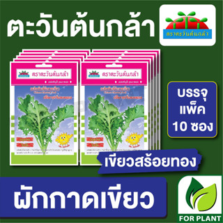 เมล็ดพันธุ์ ผักซอง ผักกาดเขียว เขียวสร้อยทอง ตราตะวันต้นกล้า บรรจุแพคล่ะ 10 ซอง ราคา 64 บาท