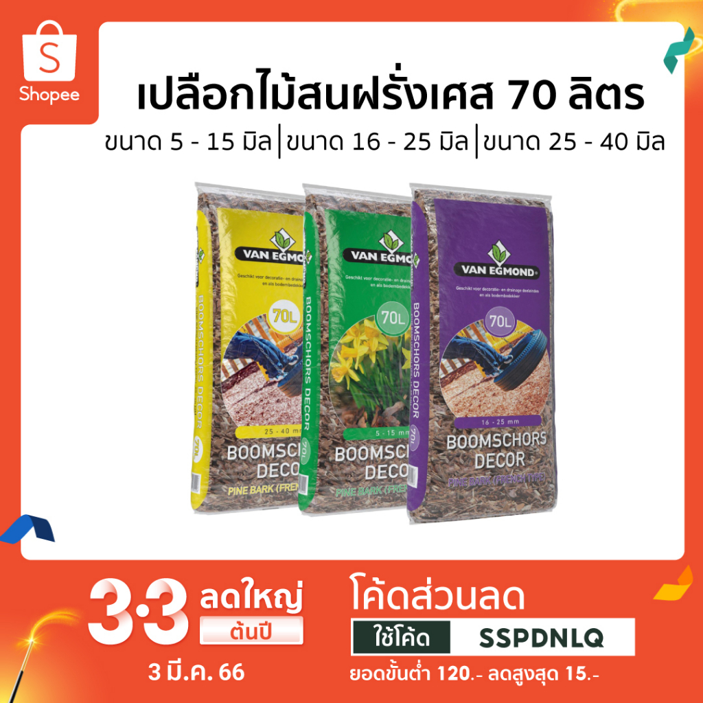 My Image 23