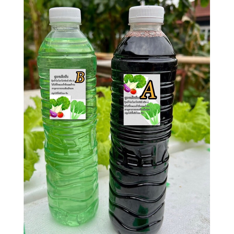 ปุ๋ย AB ไฮโดรโปนิกส์ ทำให้พืชเจริญเติบโต แข็งแรง กรอบอร่อย ประกอบด้วย ปุ๋ย A 600ml ปุ๋ย B 600 ml