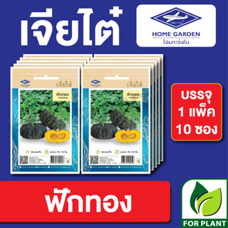 เมล็ดพันธุ์ ผักซอง ฟักทอง ตราเจียไต๋ บรรจุแพ็คล่ะ 10 ซอง ราคา 70 บาท