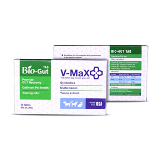 Bio-Gut V-Max 1 แผง 10 เม็ด อาหารเสริมโพรไบโอติกสำหรับสุนัขและแมว ปรับสมดุลสำไล้ ท้องเสีย ท้องผูก ฟื้นฟูจุลินทรีย์ที่ดี