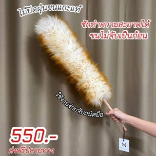 MONIX ไม้ปัดฝุ่นขนแกะแท้ Wool Duster (รุ่นใหม่หนาพิเศษ ด้ามจับไม้บีช) ยาว 75 cm. ซักทำความสะอาดได้