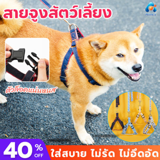 สายจูงสุนัข ยาว120cm ลายสุดน่ารัก เชือกจูงสุนัข Harness Leash