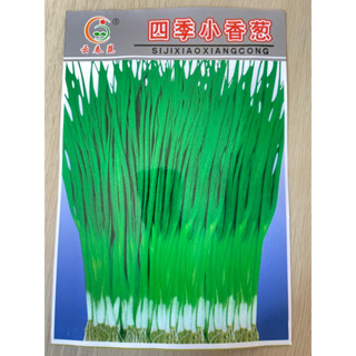 เมล็ดต้นหอม SIJIXIAOXIANGCONG