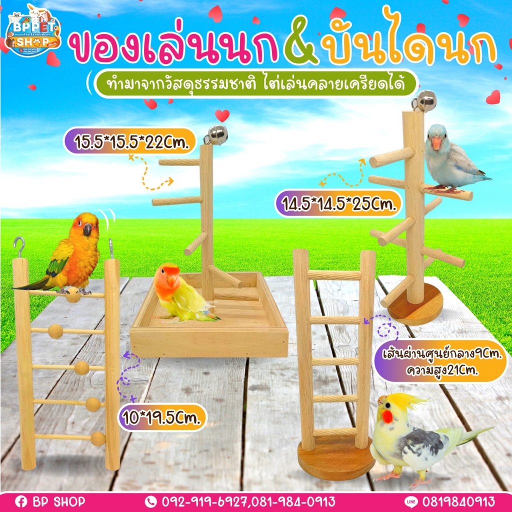 (IPshop) ของเล่นนก คอนยืนนกแก้ว